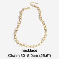 Europäische Und Amerikanische Einfache Und Übertriebene Dicke Kette Halskette Weibliche Ins Wind Netz Rot Den Gleichen Stil Hip Hop Retro Choker Halskette Nkr05 main image 5