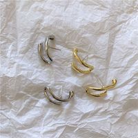 Europäische Und Amerikanische Instagram-stil Drei Dimensionale Geometrische Ohrringe Retro Gebogene Metall Mode Unregelmäßige Ohrringe Ohrringe Frauen main image 4