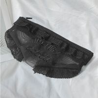 New Sexy Lace Small Underwear Cosmetic Bag Make-up Bag Cute Storage Bag Wholesale Nihaojewelry sku image 3