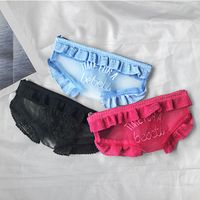 New Sexy Lace Small Underwear Cosmetic Bag Make-up Bag Cute Storage Bag Wholesale Nihaojewelry main image 2