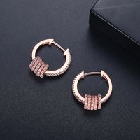 Earrings Korean Fashion Sweet Lady Copper Inlaid Zirconium Earrings Wholesale Nihaojewelry main image 5