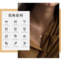 Hot Sale 316l Stainless Steel Lettering Constellation Pendant Geometric Round Necklace Rose Gold Clavicle Chain Wholesale Nihaojewelry main image 2