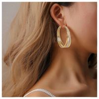 Exaggerated Geometric Metal Frosted Earrings Fashion Hoop Earrings main image 1