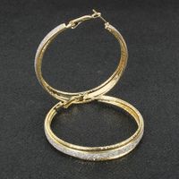 Exaggerated Geometric Metal Frosted Earrings Fashion Hoop Earrings main image 5