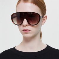 New Trend Oversized Glasses Frog New Retro Locomotive Punk Sunglasses Wholesale Nihaojewelry main image 6