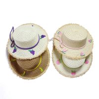 Chapeau De Soleil Pour Enfants Chapeau De Paille Chapeau De Fruits Été Grand Chapeau De Soleil À Dessus Plat En Gros Nihaojewelry main image 1