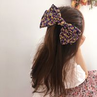 Korean Fashion Section Retro Wind Spring Clip Steel Clip Top Clip Hair Ornament Headdress Wholesale Nihaojewelry main image 2