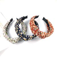 Explosions Wide-brimmed Pleated Knotted Headband High-end Fabric Small Floral Pressure Hairpin Carson Crimped Headband Wholesale Nihaojewelry sku image 3