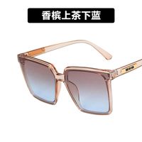 Square Big Frame Sunglasses  New  Black Frame  Sunglasses Street Shot Glasses Nihaojewelry Wholesale sku image 8