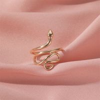 New Copper Ring Retro Snake-shaped Winding Ring Men And Women Snake Ring Wholesale Nihaojewelry main image 6