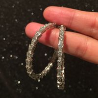 Snake-shaped Hoop Earrings Micro-inlay New S925 Silver Needle Hoop Earrings Wholesale Nihaojewelry main image 5