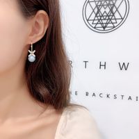 Korea S925 Silver Needle Semi-circular C-shaped Earrings Zircon Flower Earrings Fashion Pearl Earrings Wholesale Nihaojewelry main image 5