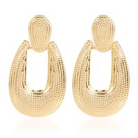 Fashion Alloy Earrings Exaggerated Texture Geometric Drop Earrings Wholesale Nihaojewelry main image 1