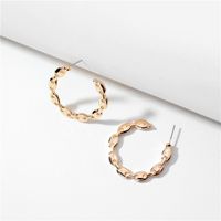 Fashion Simple Style  Geometric Shape Metal Pig Nose Chain Shape Earring Wholesale Nihaojewelry main image 2