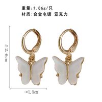 Korea New Butterfly Earrings Simple Style Pop Earrings Wholesale Nihaojewelry main image 6
