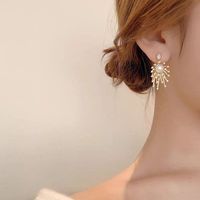 Korean  Fashion 925 Silver Needle High-quality Firework Rhinestone Earrings  Flower Ball Trend Earrings Wholesale Nihaojewelry main image 4