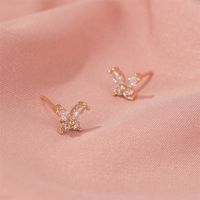 Korean Simple Super Fairy Crystal Small Butterfly Earrings High Sense Of Wild Zircon Earrings Wholesale Nihaojewelry main image 4