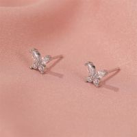 Korean Simple Super Fairy Crystal Small Butterfly Earrings High Sense Of Wild Zircon Earrings Wholesale Nihaojewelry main image 5