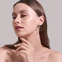 925 Silver Korean Long Earrings High-grade Crystal Tassel Earrings Exaggerated Pearl Earrings Wholesale Nihaojewelry main image 3