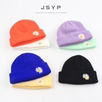 Knitted Hat Embroidery Daisy Flowers Yapi Melon Fur Hat Korean Fashion Wild New Solid Color Couple Tide Brand Cold Hat Wholesale Nihaojewelry main image 3