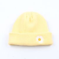 Knitted Hat Embroidery Daisy Flowers Yapi Melon Fur Hat Korean Fashion Wild New Solid Color Couple Tide Brand Cold Hat Wholesale Nihaojewelry sku image 4