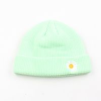 Knitted Hat Embroidery Daisy Flowers Yapi Melon Fur Hat Korean Fashion Wild New Solid Color Couple Tide Brand Cold Hat Wholesale Nihaojewelry sku image 6