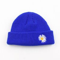 Knitted Hat Embroidery Daisy Flowers Yapi Melon Fur Hat Korean Fashion Wild New Solid Color Couple Tide Brand Cold Hat Wholesale Nihaojewelry sku image 7