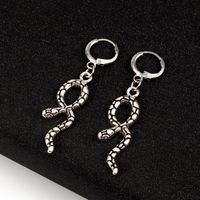 Hot Sale Retro Punk Ethnic Wind Pattern Snake-shaped Long Pendant Earrings Wholesale Nihaojewelry main image 5