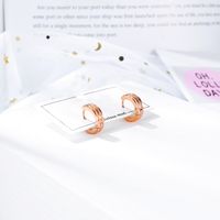 New Personalized Earrings Personalized Fashion Stainless Steel Rose Gold Groove Frosted Earrings Wholesale Nihaojewelry main image 3