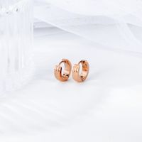 New Personalized Earrings Personalized Fashion Stainless Steel Rose Gold Groove Frosted Earrings Wholesale Nihaojewelry main image 4