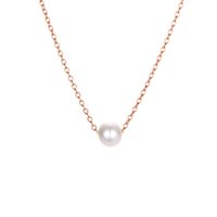 Explosion Accessories Simple Pearl Pendant Stainless Steel Gold-plated Necklace Clavicle Chain Distribution Wholesale Nihaojewelry main image 6