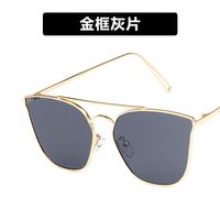 Metal Sunglasses Double Beam  New Retro Wild  Trend  Sunglasses Nihaojewelry Wholesale sku image 1