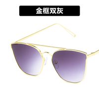 Metal Sunglasses Double Beam  New Retro Wild  Trend  Sunglasses Nihaojewelry Wholesale sku image 2