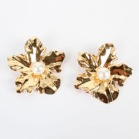 Personality Simple Handmade Flower Earrings Fashion Wild Temperament Earrings Wholesale Nihaojewelry main image 5