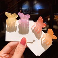Jelly Color Three-dimensional Butterfly Small Grip Clip Korean Simple Retro Clip Hair Catch Side Clip Hair Accessories Wholesale Nihaojewelry main image 4