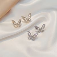 S925 Sterling Silver Needle Retro  Style Butterfly Earrings Rhinestone Glittering Small Earrings New Temperament Super Fairy Earrings Wholesale Nihaojewelry main image 4