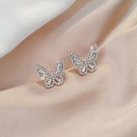 S925 Sterling Silver Needle Retro  Style Butterfly Earrings Rhinestone Glittering Small Earrings New Temperament Super Fairy Earrings Wholesale Nihaojewelry main image 6