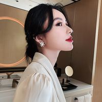 Korean New Fashion 925 Silver Pin French High-grade Earrings Daisy Petal Pearl  Earrings Wholesale Nihaojewelry main image 5