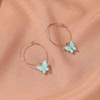 New Earrings Simple Butterfly Earrings Temperament Color Acrylic Butterfly Earrings Wholesale Nihaojewelry main image 4