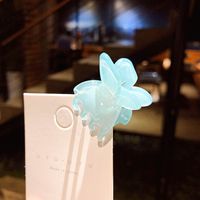 Jelly Color Three-dimensional Butterfly Small Grip Clip Korean Simple Retro Clip Hair Catch Side Clip Hair Accessories Wholesale Nihaojewelry sku image 1