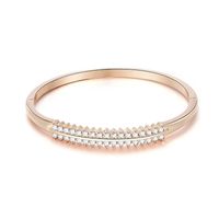 Double-row Diamond Bracelet Zircon Micro-inlaid Diamond Fine Ring Strip Alloy Jewelry Wholesale Nihaojewelry sku image 3