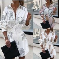 New Women's Fashion Print Waist Shirt Lantern Sleeve Shirt Wholesale Nihaojewelry main image 2