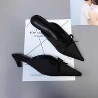 Summer New Korean Pointed Fashion Wild Half Slippers Thin Heel Bow Sandals Wholesale Nihaojewelry main image 3