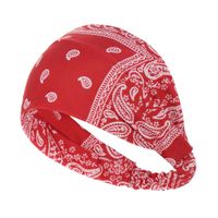 Simple Wash Cashew Headband Fabric Double-layer Wide-brimmed Headband Jewelry Headdress Wholesale Nihaojewelry main image 2