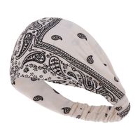 Simple Wash Cashew Headband Fabric Double-layer Wide-brimmed Headband Jewelry Headdress Wholesale Nihaojewelry sku image 1