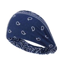 Simple Wash Cashew Headband Fabric Double-layer Wide-brimmed Headband Jewelry Headdress Wholesale Nihaojewelry sku image 5