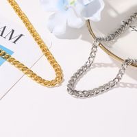 Street Hip-hop Style Neck Chain Trend Necklace Fashion Simple Thick Chain Necklace Clavicle Chain Wholesale Nihaojewelry main image 3