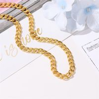 Street Hip-hop Style Neck Chain Trend Necklace Fashion Simple Thick Chain Necklace Clavicle Chain Wholesale Nihaojewelry main image 4