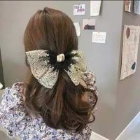 Korean Lace Hairpin Horizontal Clip Large Bowknot Spring Clip Hairpin Wholesale Nihaojewelry main image 1