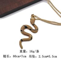 Animal Shape Pendant Necklace Sweater Chain Brown Snake-shaped Pendant Necklace Sweater Chain Wholesale Nihaojewelry main image 5